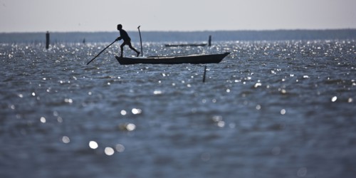 Pêcheurs du delta du Nil