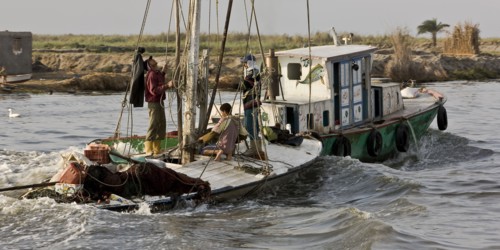Pêcheurs du delta du Nil