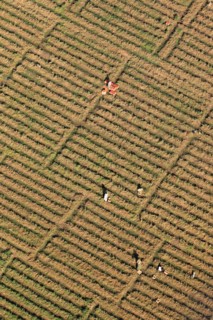Vue aérienne du Nil entre Louxor et Assouan