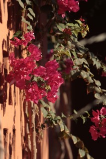 Hôtel Sheraton à el-Gouna (Egypte)