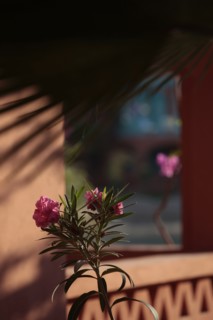 Hôtel Sheraton à el-Gouna (Egypte)
