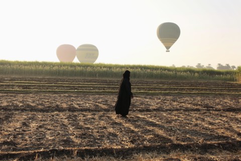 Montgolfières au-dessus de Louxor