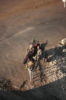 Scène de la vie quotidienne aux environs de Louxor