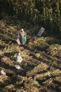Scène de la vie quotidienne aux environs de Louxor