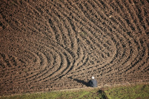 Scène de la vie quotidienne aux environs de Louxor