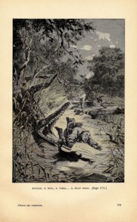 Illustration in 'School for Robinsons'