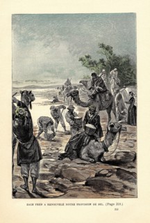 Jules Verne, "Mistress Branican" (illustration)