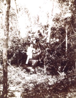 Angkor