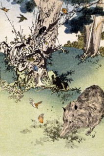 Fables choisies de Florian, série 1 : "Le sanglier et les rossignols"