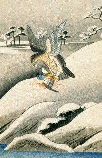Fables choisies de Florian: "Le milan et le pigeon"