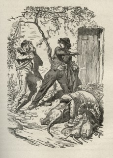 Illustration de "Les Travailleurs de la Mer", de Victor Hugo