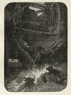 Illustration of "Toilers of the Sea", by Victor Hugo