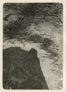 Illustration de "Les Travailleurs de la Mer", de Victor Hugo