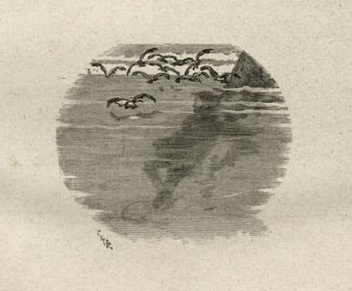 Illustration de "Les Travailleurs de la Mer", de Victor Hugo