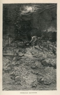 Illustration de "Napoléon le Petit", de Victor Hugo