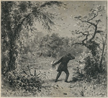 Illustration de "Les Châtiments", de Victor Hugo