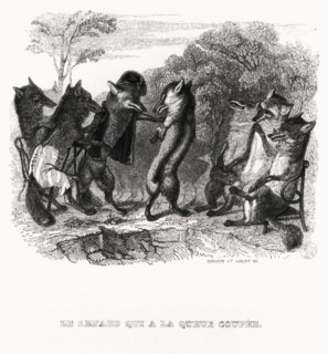 The Fox who had lost his tail