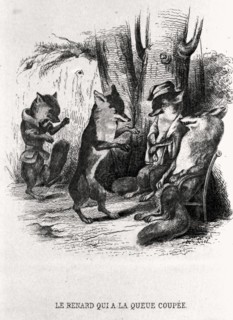 The Fox who had lost his tail