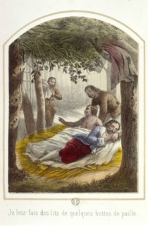 Les aventures de Robinson Crusoë, 1876