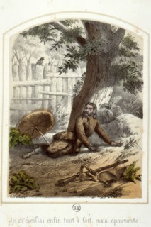 Les aventures de Robinson Crusoë, 1876