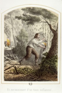 Les aventures de Robinson Crusoë, 1876