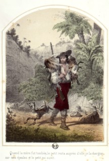 The Adventures of Robinson Crusoe, 1876