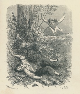 Sophie's Misfortunes, by Countess of Ségur
