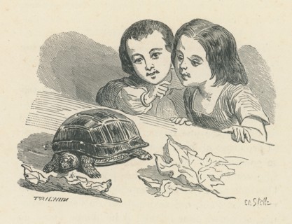 Les malheurs de Sophie, par la Comtesse de Ségur