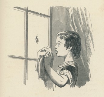 Sophie's Misfortunes, by Countess of Ségur