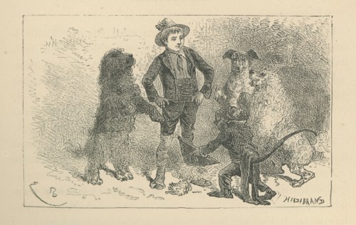 Sans famille, par Hector Malot