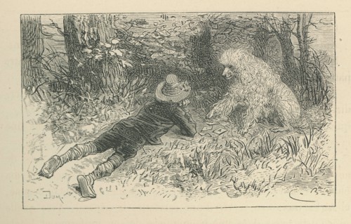 Sans famille, par Hector Malot