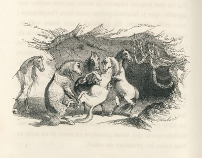 Jonathan Swift, "Voyages de Gulliver dans des contrées lointaines", tome 2