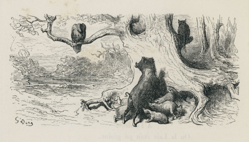 Fable "L'Aigle, la Laie et la Chatte"