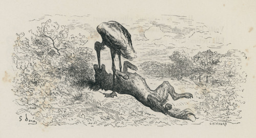 Fable "Le Loup et la Cigogne"