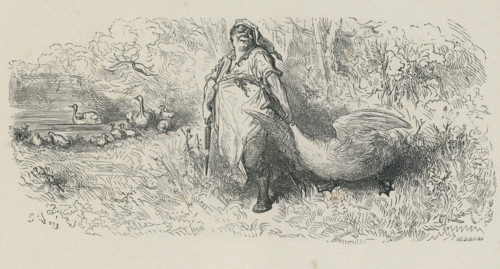Fable "Le Cygne et le cuisinier"