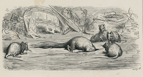 Fable "La Belette entrée dans un grenier"
