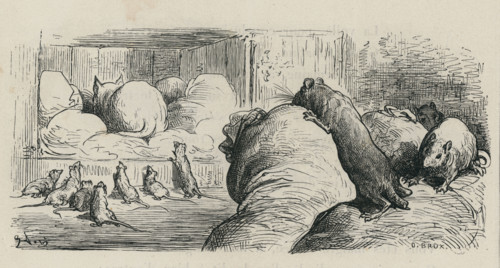 Fable "Le Chat et le vieux rat"