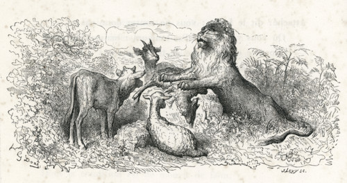 Fable "La Génisse, la chèvre et la brebis en société avec le lion"
