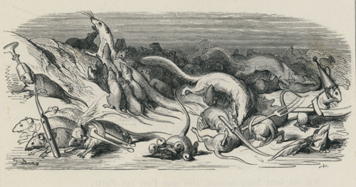 Fable "Le Combat des rats et des belettes"