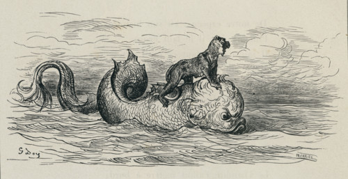 Fable "Le Singe et le Dauphin"