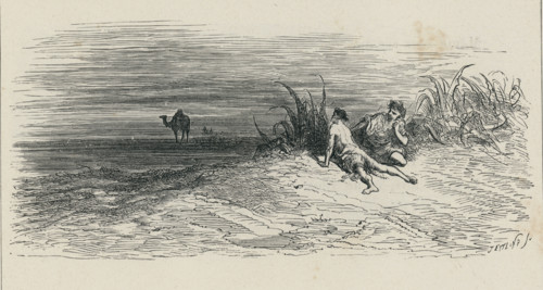 Fable "Le Chameau et les batons flottants"