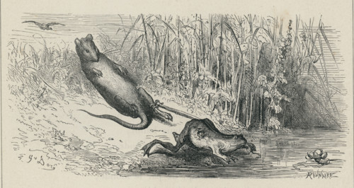 Fable "La Grenouille et le Rat"