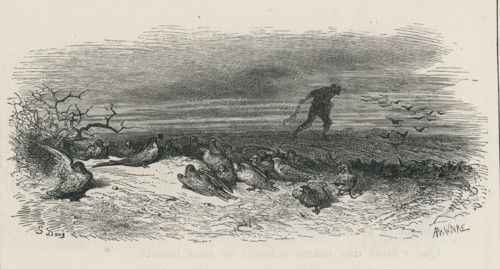 Fable "L'hirondelle et les petits oiseaux"