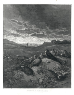 Fable "L'hirondelle et les petits oiseaux"