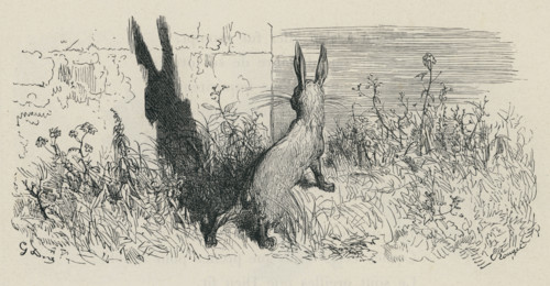 Fable "Les Oreilles du lièvre"