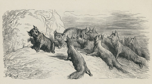 Fable "Le Renard ayant la queue coupée