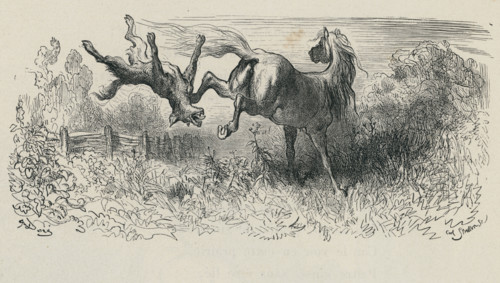 Fable "Le Cheval et le Loup"