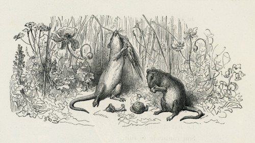Fable "Le Rat de ville et le Rat des champs"