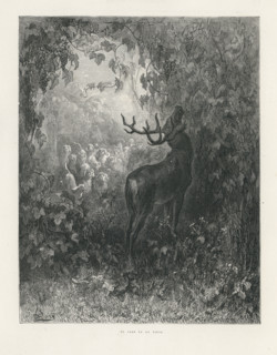 Fable "Le Cerf et la Vigne"