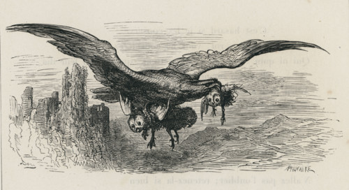 Fable "L'Aigle et le Hibou"
